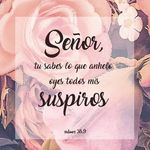 Alma Hernández Vizcaíno - @almahernandezvizcaino - Instagram