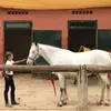 almavizcaino3 - @almavizcaino3 - TikTok