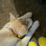 alma Dolores Vizcaya Baeza - @almadoloresvizcaya - Instagram