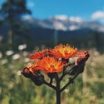 alma - @alma.vos58 - Instagram