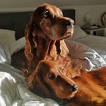 Alma & Walter - @alma_and_walter - Instagram