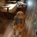 Alma Walter - Facebook