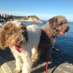 Alma&Walter - @alma_y_walter_pdae - Instagram