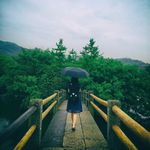 Alma Wang - @alllllma5 - Instagram
