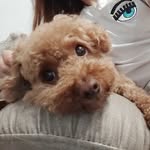 Alma Wang - @wangmeiqi89 - Instagram