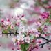 Alma Watkins - Facebook