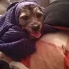 almawatkins61 - @almawatkins61 - TikTok
