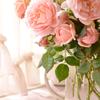 ALMA WATSON - @alma.watson - TikTok