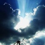 Alma Watts - @watts1950 - Instagram