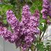 Alma Watts - Facebook