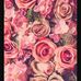Alma Weber - Facebook
