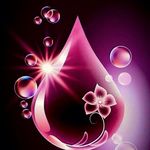 Alma Weber - @alma.weber.52 - Instagram