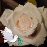 Alma Weiler - @weileralma - Instagram
