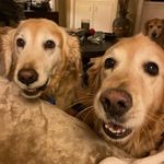 Mary-Alma Welch - @mawelch11 - Instagram