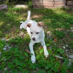 Alma Wesley - Facebook