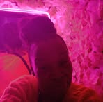 Alma Wilder - Facebook