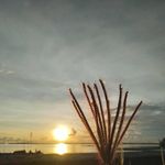 Wilder Almansor - @wilderalmansor - Instagram