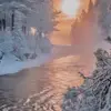 AlmaWinter 🫧 - @user9197517205775 - TikTok