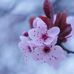 Alma Wolfe - Facebook
