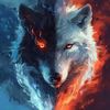 almaalfassi - @alma.wolfer - TikTok