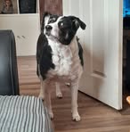 Alma Wright - Facebook