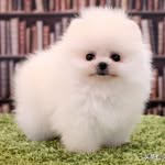 Alma Wu - @yuling1674 - Instagram
