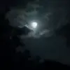 almayan_ - @almayan_ - TikTok