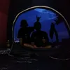 Luffy - @almayan.06 - TikTok