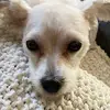 Alma Yanez - @yanez.76 - TikTok