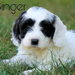 Alma Sue Yoder - @almasuey - Instagram