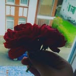 Alma youssef - @almayoussef3 - Instagram
