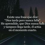 Alma Zamarripa - @almazamarripa - Instagram