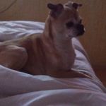 Alma Zambrano - @almazambrano63 - Instagram