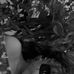 Alma Zelaya - Facebook