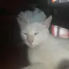 Alma Martina Zenteno - @almazenteno7 - TikTok