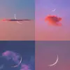 Alma zenteno - @alma.zenteno8 - TikTok