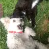 Alma Zenteno Baldera - @almazenteo - TikTok