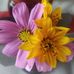 Alma Zurita - Facebook
