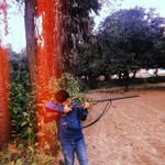 Ali almaas - @almaas.ali - Instagram