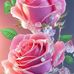AlmaDelia Hernandez - Facebook