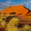 Almamy Diane893 - @almamydiane893 - TikTok