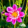 Almaz - @almaz.worku72 - TikTok