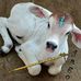 Alok Roy - Facebook