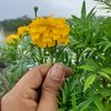 alok roy - @alok...roy - TikTok