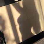 Alondra López - @alopez._8 - Instagram