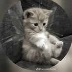 Alondra Rubio - Facebook