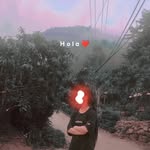A Lồng Vàng - @vang_along - Instagram