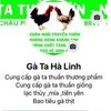 vangalong - @vangalong - TikTok