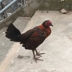 Alonso Barrientos - @alonsobariientos39 - Instagram