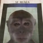 Alonso Barrientos Cruz - @alonsom_71 - Instagram